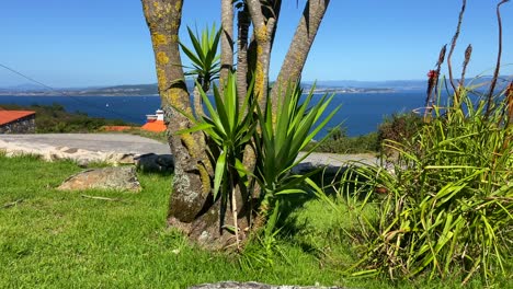 Pueblo-Principal-De-La-Isla-De-Ons-Y-Vegetación-En-Galicia,-España