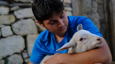 Tiere-Schützen-Und-Lieben