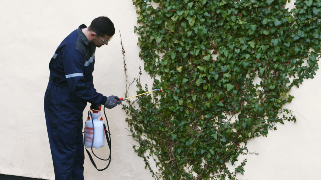 hombre haciendo control de plagas