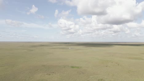 vista panorámica de la sabana de los everglades hasta la autopista baja que atraviesa