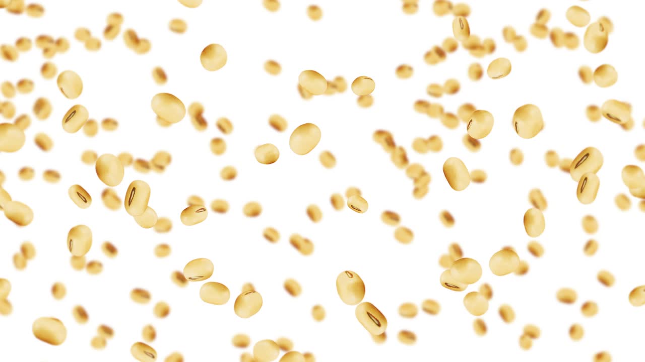 색 배경에 많은 콩을 날아. 밝은 갈색 곡물. 콩과 콩. 건강한 음식. 콩이 회전하는 3d 루프 애니메이션.
