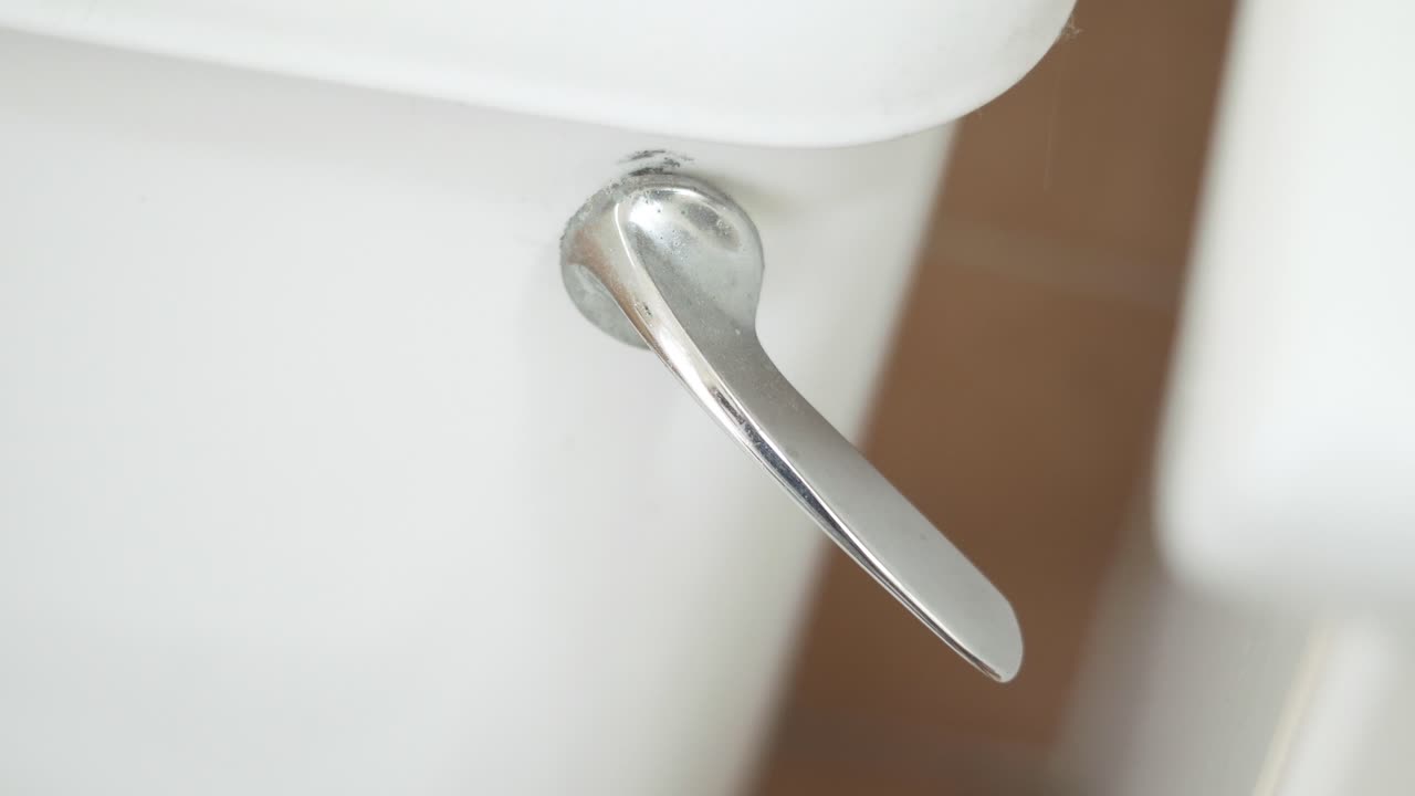 화장실 손잡이 물 내리기