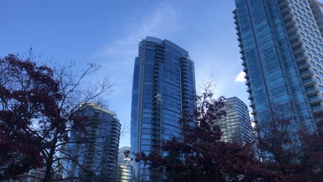 Red-leaves-in-multiple-trees-with-high-skyscrapers-of-glass-on-the-background-while-a-bird-is-flying-over