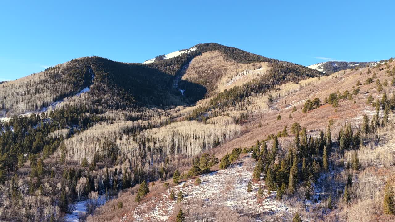 Un'ampia prospettiva da drone cattura i fitti boschetti di pioppi tremuli bianchi spogli e pini verdi sui pendii invernali di Blue Mountain. La luce del sole illumina le chiazze di neve e le aspre vette montuose alpine.