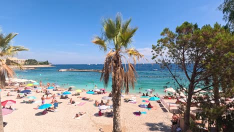 tourists enjoying a sunny beach in monte carlo