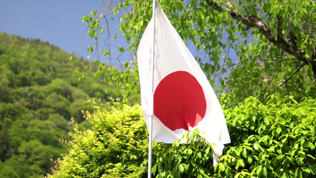 toma manual de la bandera japonesa frente a los árboles, toma manual