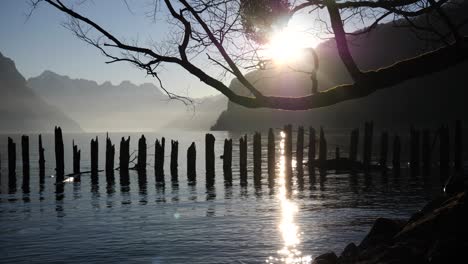 Wide-angel-shot-of-ducks-swimming-around-a-broken-boardwalk-in-a-fjord-lake-in-Weesen,-Switzerland