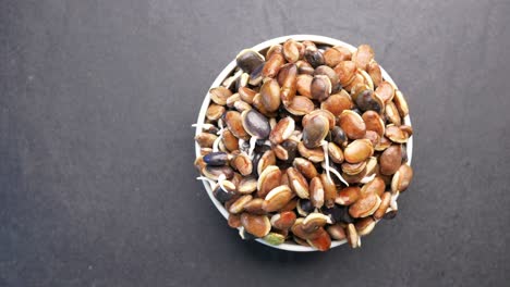 sprouted beans in a bowl