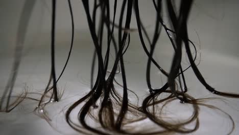 detail of long brown hair in transparent clean water with white background