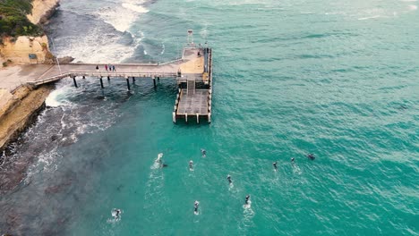 drone footage captures swimmers training near a jetty in port campbell, australia. clear turquoise waters and coastal scenery create a serene atmosphere