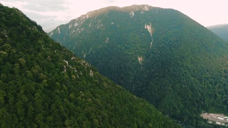 mountainous forest valley landscape