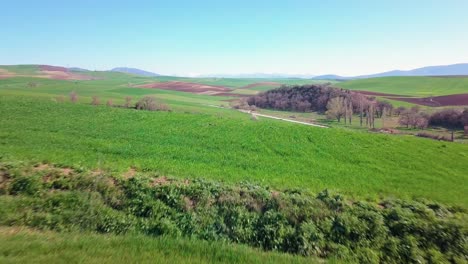 Descending-aerial-shot-over-green-fields-and-hills-and-closeby-flight-over-the-ground