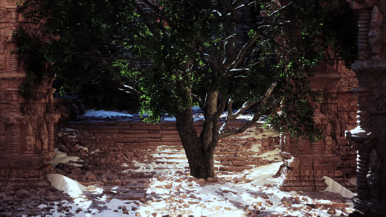 오래된 정글 사원의 폐허에서 나무가 자란다.