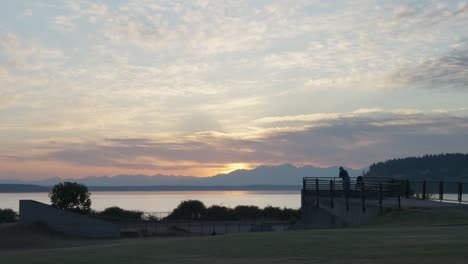 beautiful sunset with park silhouette