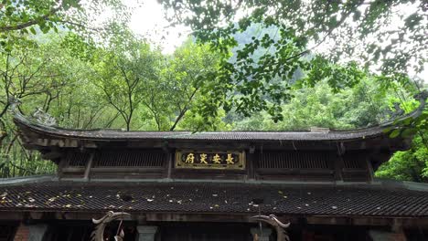 tourists explore a traditional temple in ninh binh