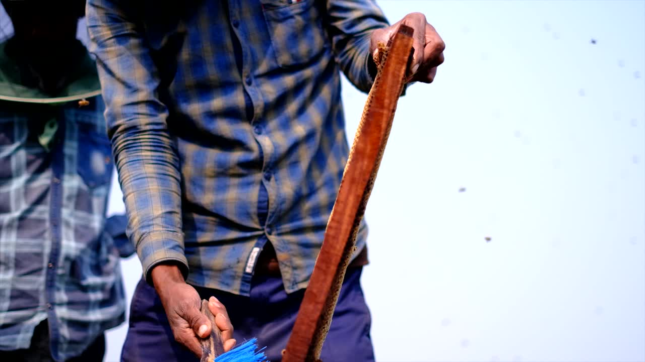 marcos de una colmena, apicultor cosechando miel, la mano de un apicultor está trabajando con abejas y colmenas en el colmenar, abejas en panales