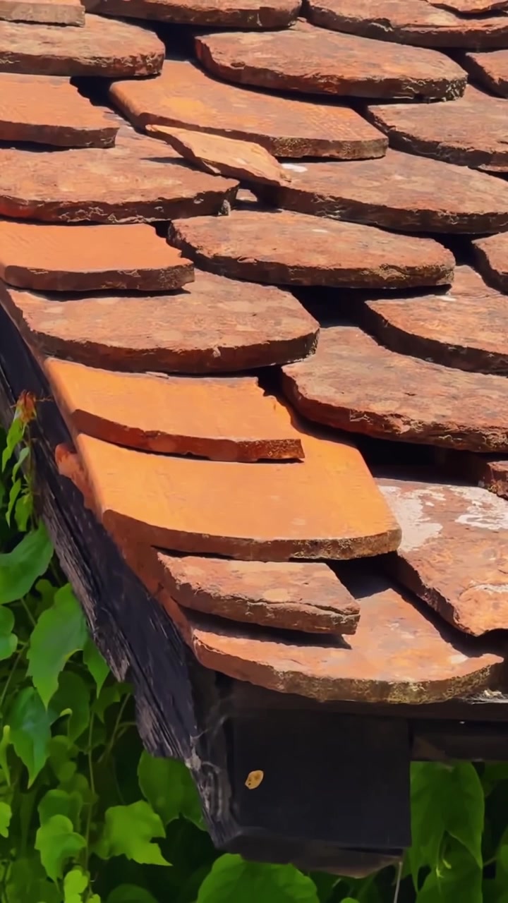 Primo piano verticale di tegole rustiche in terracotta a Tacen, Slovenia, con scandole di argilla a strati, texture ruvida e foglie verdi accanto a un vecchio edificio.