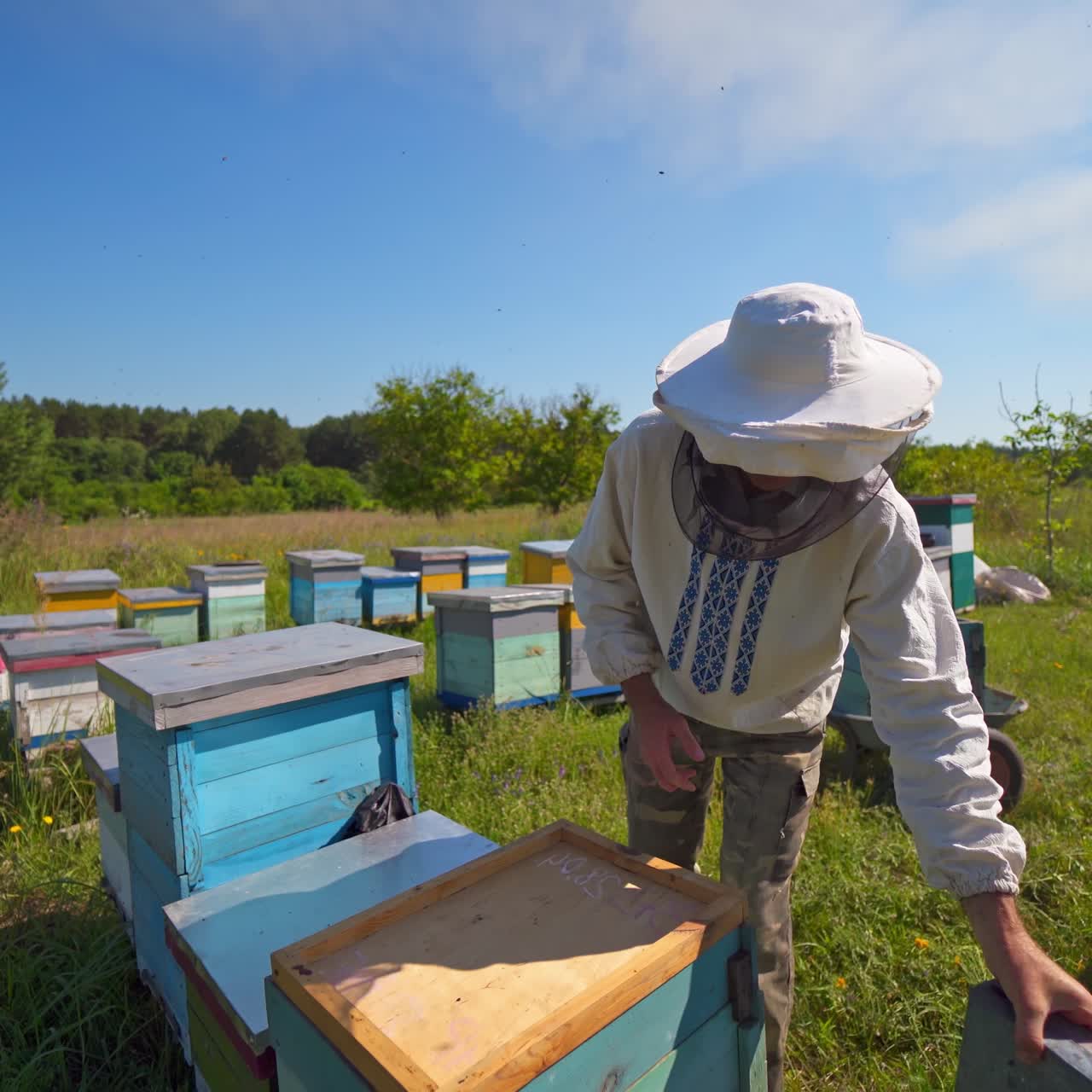 Apiculture in nature. Beekeeper caucasian man takes out beehive honeycomb frame in apiary garden. Natural production of delicious honey. Beekeeping business.