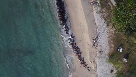 Schaukeln-Sie-Auf-Dem-Steinernen-Wellenbrecher-Am-Strand