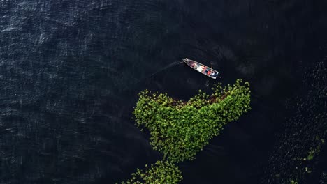 Top-down-bird's-eye-shot-of-beautiful-natural-green-marshes-with-a-small-fishing-boat-casting-a-fish-net-on-the-coast-of-the-man-made-Guarapiranga-Reservoir-in-the-south-of-São-Paulo,-Brazil