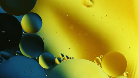 real close up oil bubbles in water rotation with color gradient abstract mixing background