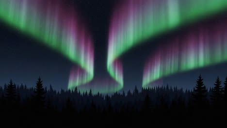aurora borealis over a pine forest at night