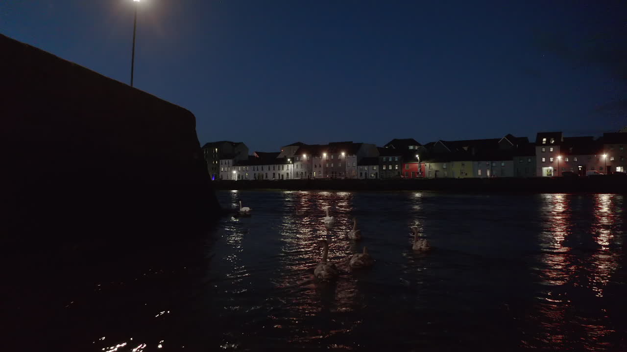 Ripresa statica che cattura l'iconica Long Walk di Galway di notte con una famiglia di cigni che scivola con grazia lungo il fiume Corrib