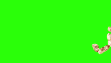 grupo de animación de cacahuetes en pantalla verde tecla de croma, elementos de fuente gráfica