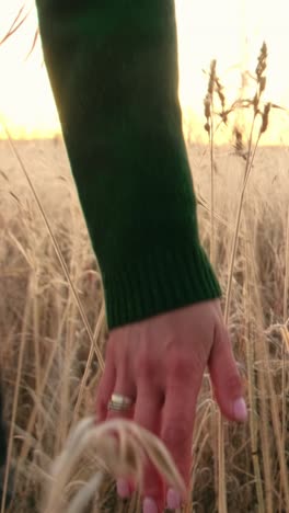 hand in a field