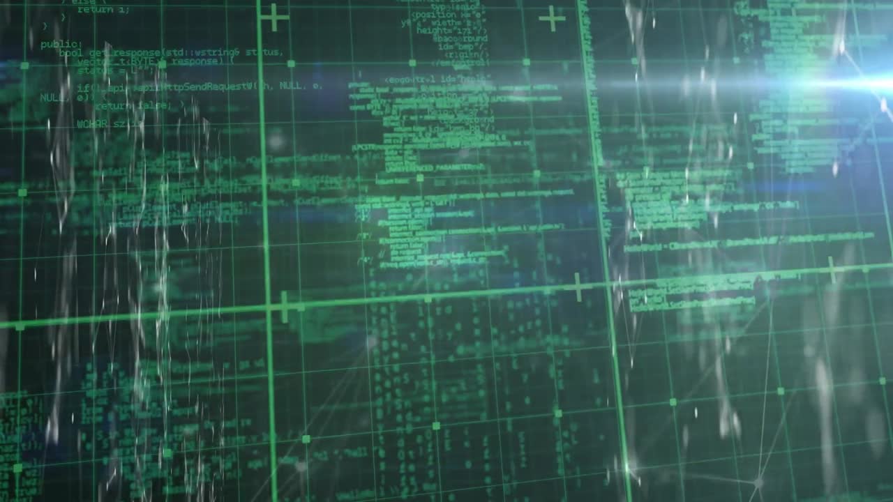 Animation of network of connections over data processing