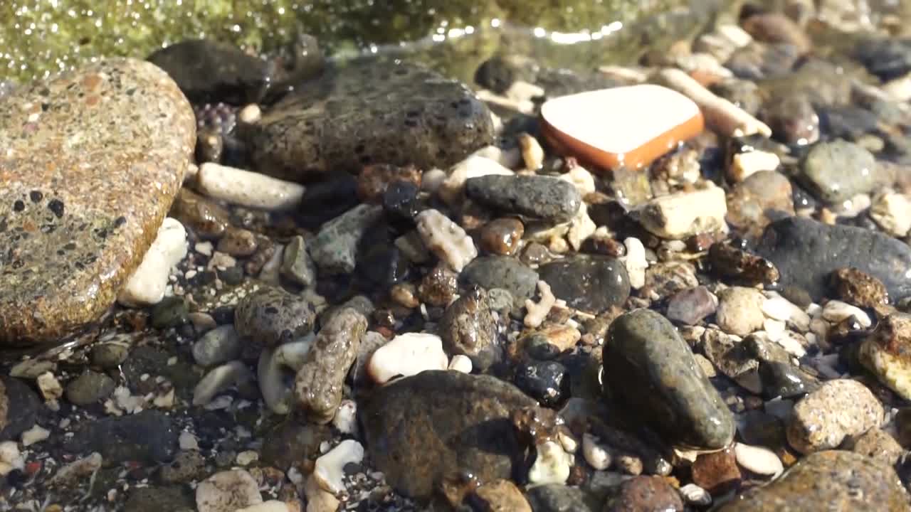 Waves are coming in the pebbles, stones and shells. -- Close Up