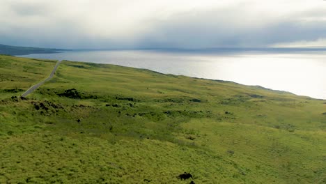 Coches-En-Carretera-Rural-Por-Mar-En-El-Verde-Paisaje-De-Maui,-Panorámica-Aérea