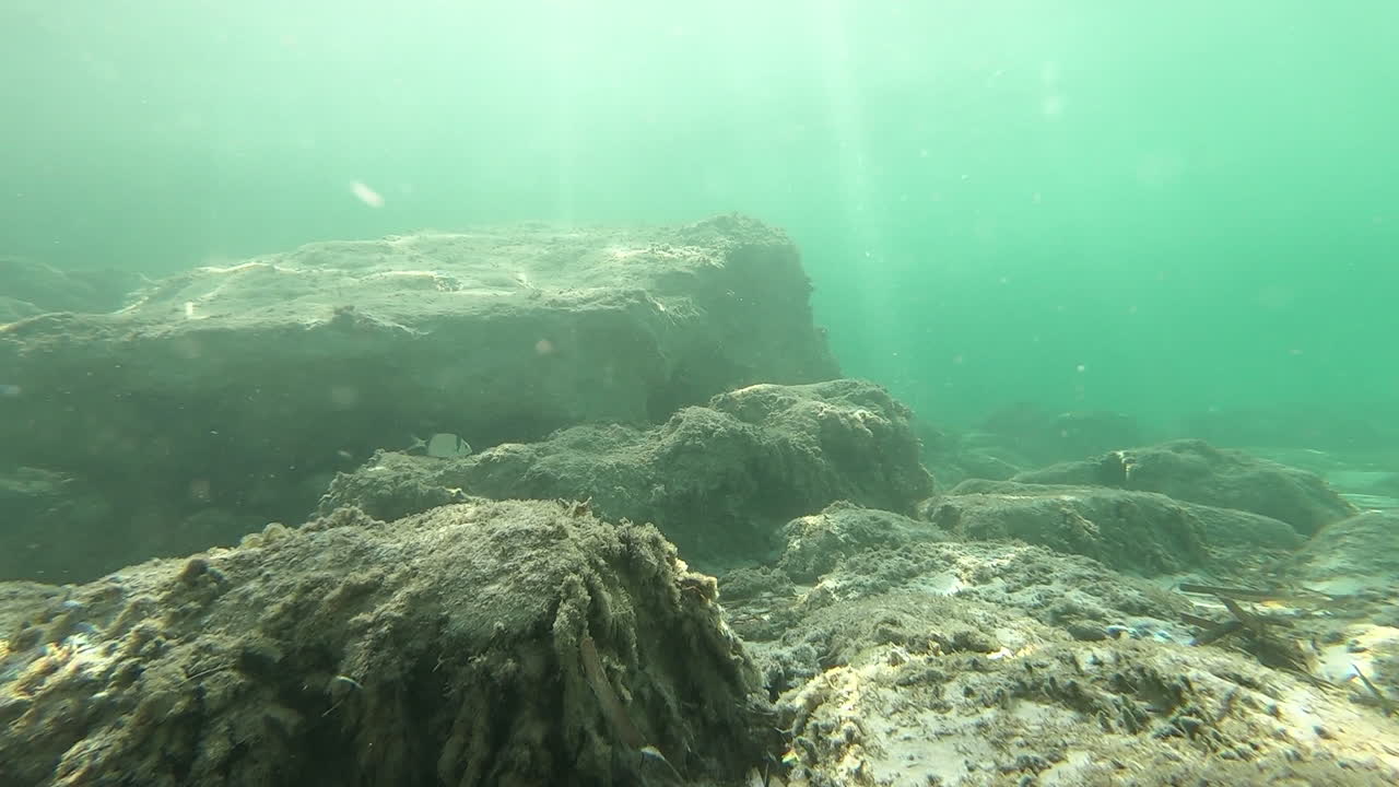 películas bajo y sobre el agua