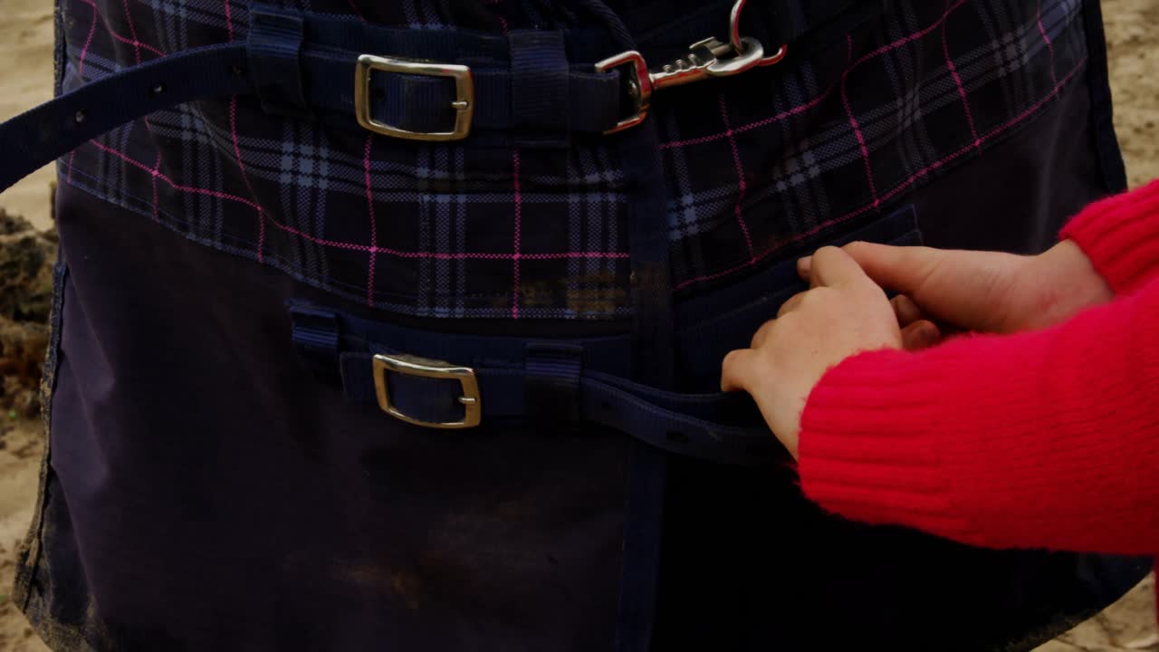 말 카 ⁇  의 벨트 를 조정 하는 여자 4k