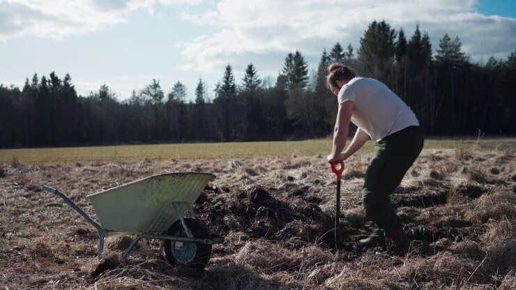 Man Putting Soil Into Wheelbarrow - Wide Shot