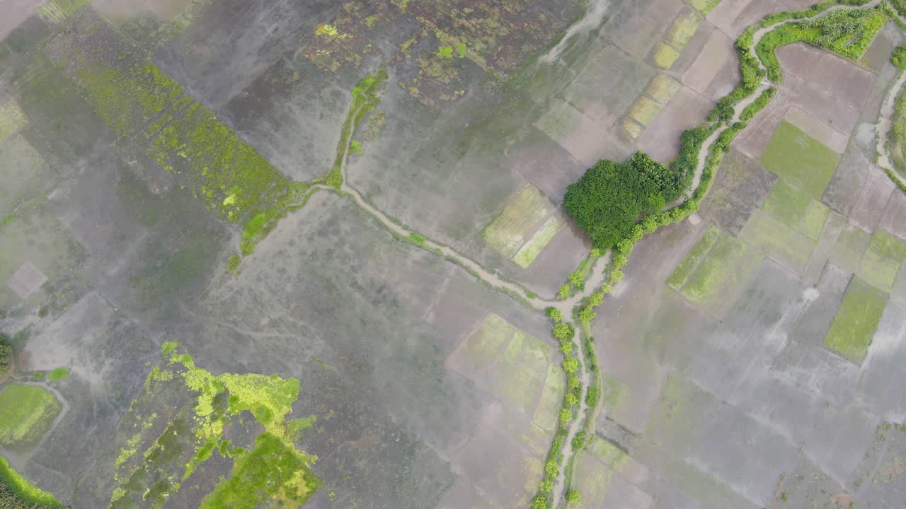 Flooded agricultural land in Bangladesh