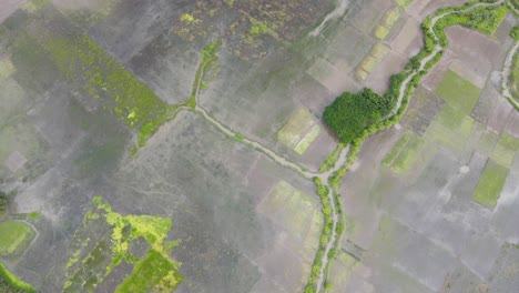 Tierra-Agrícola-Inundada-En-Bangladesh