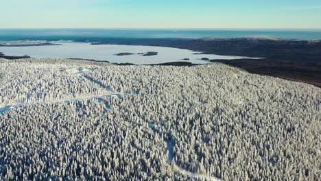 bosque de montaña nevado con un lago congelado