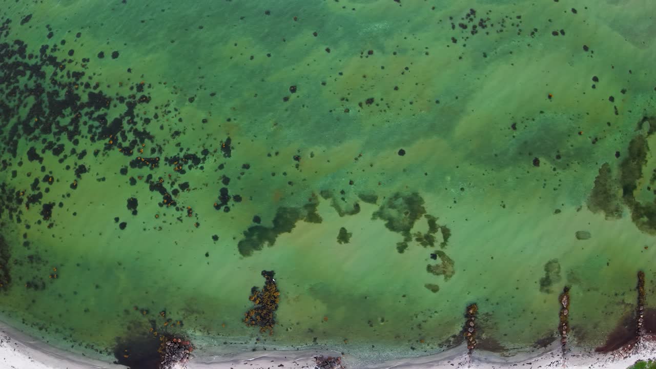 Aerial top-down view of a shallow, green-tinted shoreline with underwater formations and a clear sandy beach. Sparse vegetation borders the water, creating a natural, organic texture