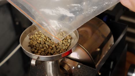persona que vierte los granos de café crudos cosechados en una máquina de tostar