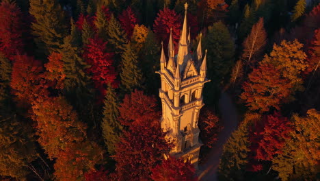autumn tower in a forest