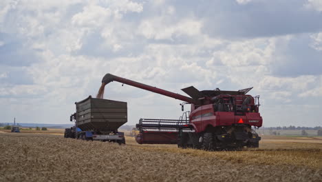 machine loading seeds in trailer. combine harvester pouring in tractor trailer with grain during harvesting