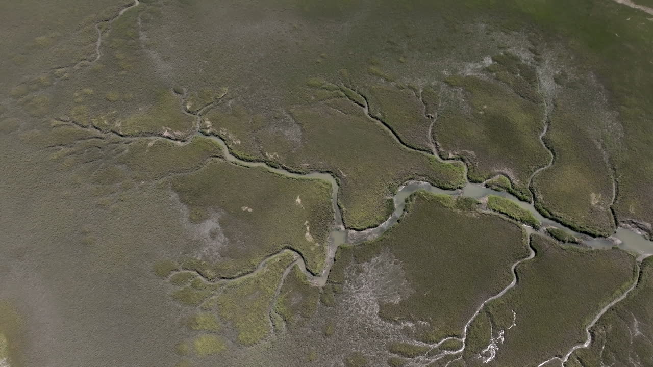 Aerial video from Hilton Head Island shows intricate creek systems snaking through marshland, creating organic fractal-like shapes
