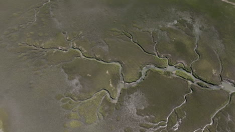 aerial video from hilton head island shows intricate creek systems snaking through marshland, creating organic fractal-like shapes