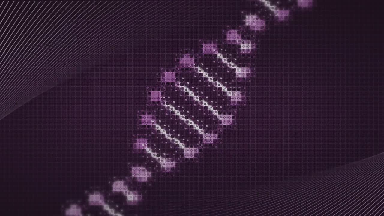 animación de curvas paralelas blancas que se mueven sobre una cadena de adn digital giratoria, en una cuadrícula rosa sobre negra