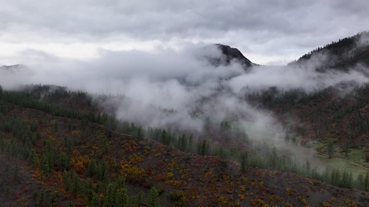 Aerial drone shot tracking forward along the scenic Route 160 in Colorado, with low-lying clouds and fog sporadically covering the vibrant autumn foliage showcasing the beauty of fall in the Rockies