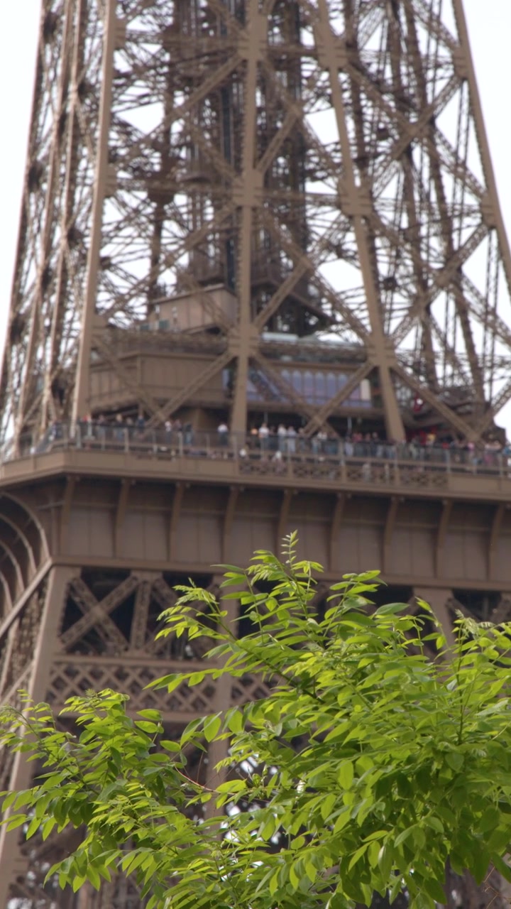 Inquadratura media statica del ponte di osservazione della Torre Eiffel incorniciato da foglie di alberi verdi vibranti.