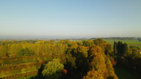 Distant-View-Of-Wind-Turbines-At-The-Field-In-Napromek,-Gmina-Lubawa,-Poland-On-A-Sunny-Autumn-Morning---aerial