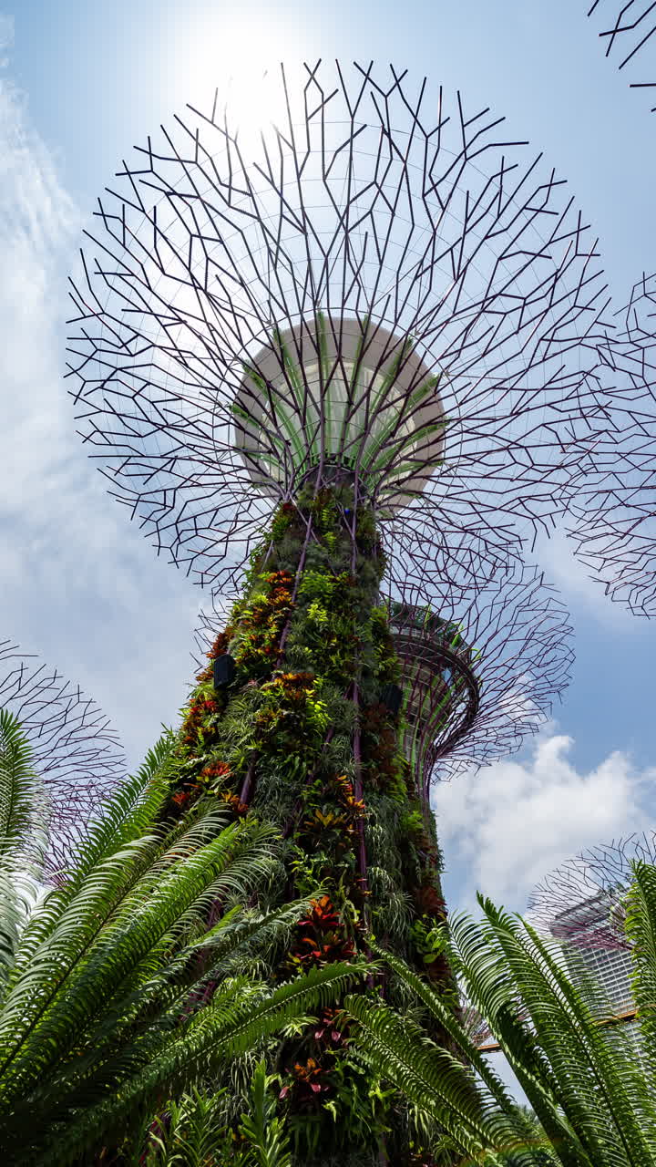 the gardens by the bay in singapore in vertical