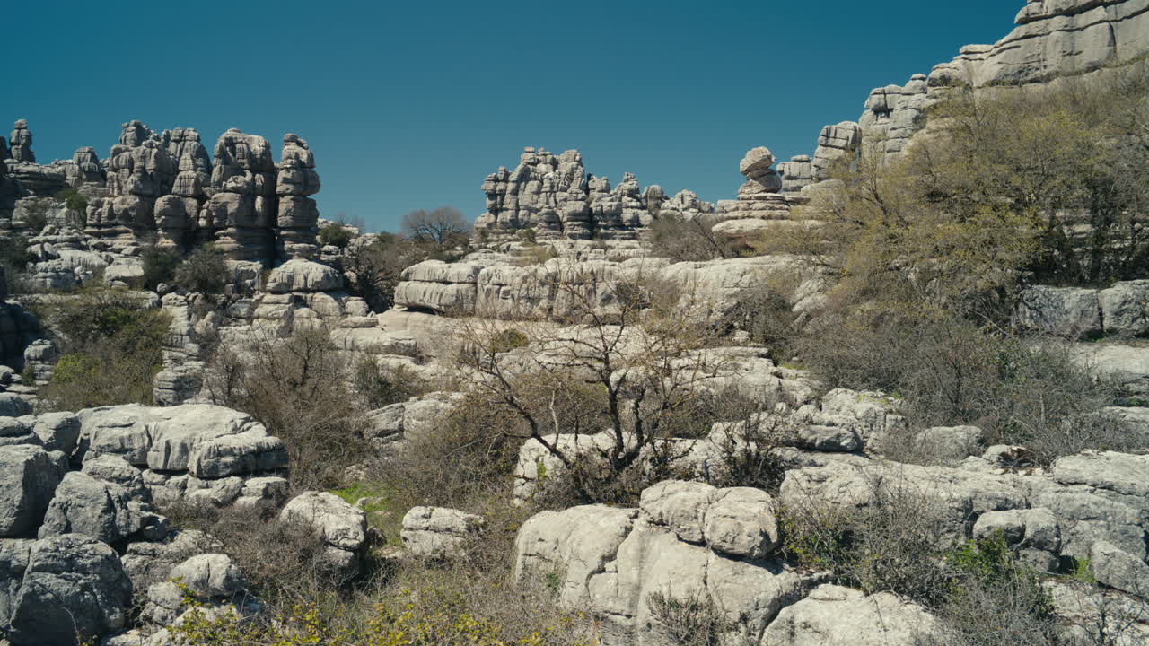 Ampia vista panoramica di formazioni calcaree stratificate e vegetazione secca a El Torcal de Antequera, Andalusia, Spagna, che evidenzia l'esclusivo terreno carsico e i motivi naturali.